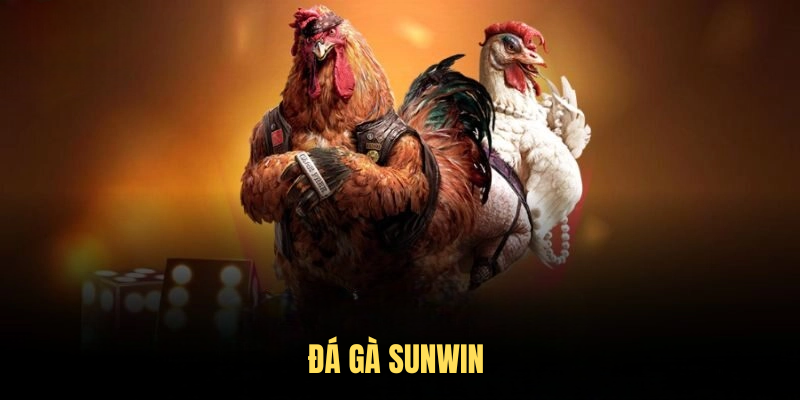 Đá Gà SUNWIN – Sảnh Giải Trí Hấp Dẫn, Kiếm Thưởng Dễ Dàng